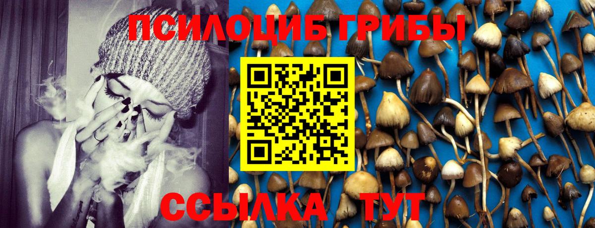 Псилоцибиновые грибы GOLDEN TEACHER  Вход с VPN  Минеральные Воды 