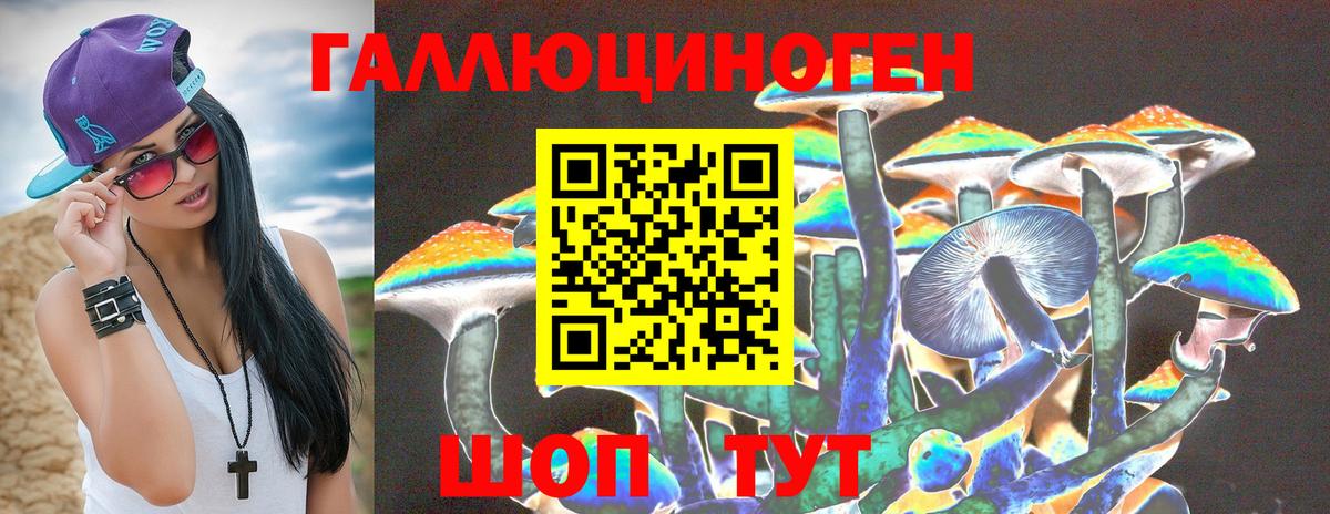 Галлюциногенные грибы мухоморы Минеральные Воды